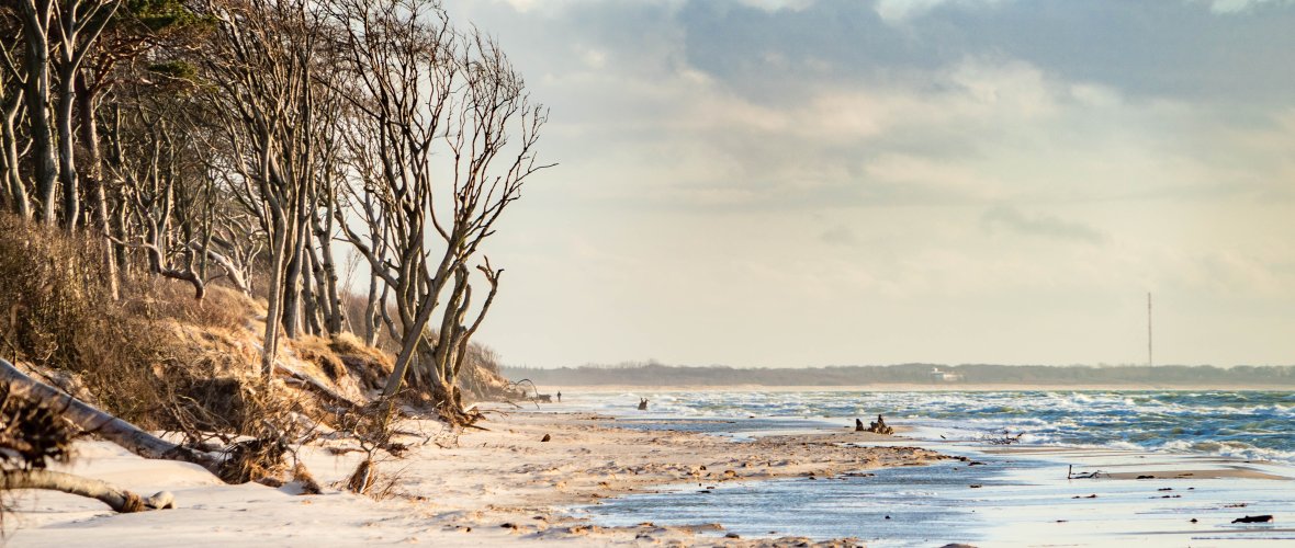 Strandblick in Prerow