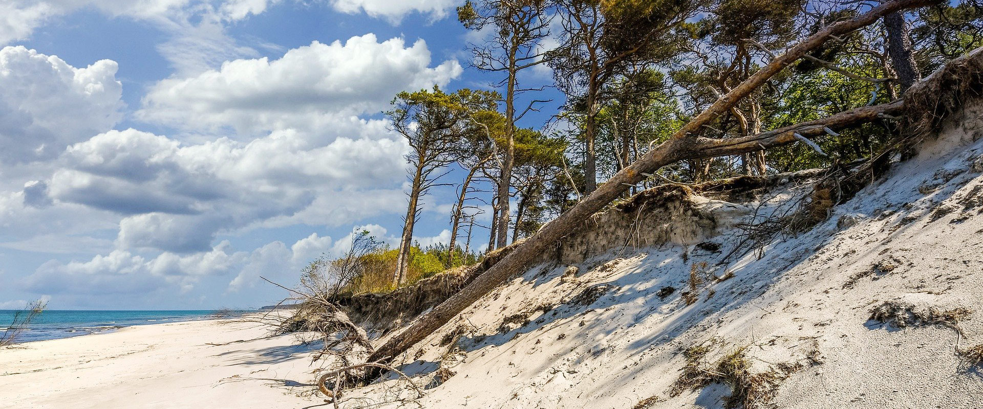 Weststrand Darß